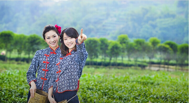 日本老人采樹(shù)葉賺53萬(wàn) 是天價(jià)葉子還是天價(jià)商機(jī)？|餐飲界