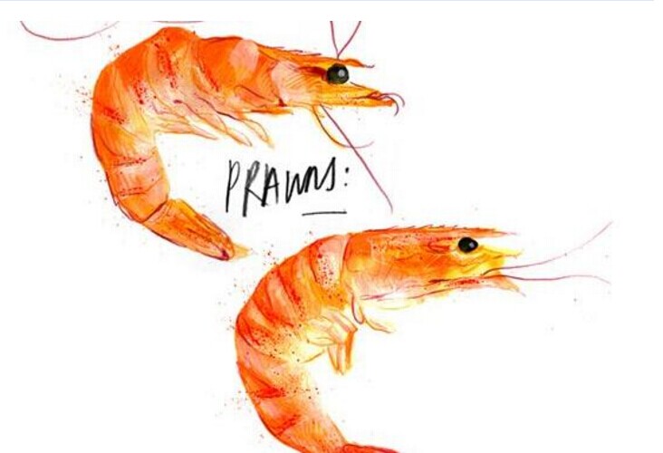 你是不是被“偽品類”忽悠了好多年？