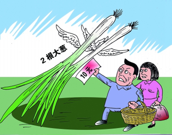 高價(jià)蔥提升成本，菜品價(jià)到底漲不漲愁壞老板