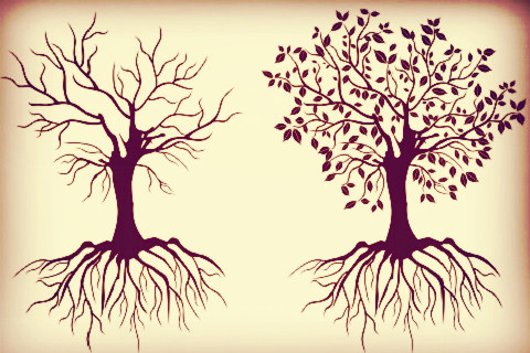 繁榮背后，北上廣深餐企死亡率究竟有多高