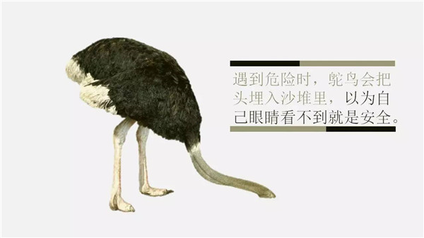 這6個詞，你誤解了任何一個，都能讓你錯過“風(fēng)口”