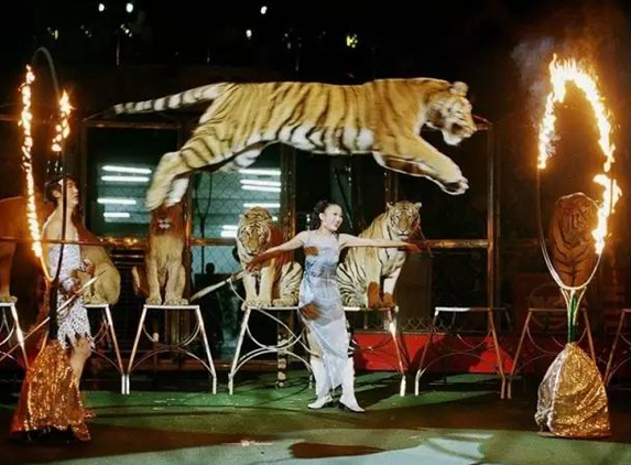 90后開農(nóng)家院，也能年入過百萬|餐飲界