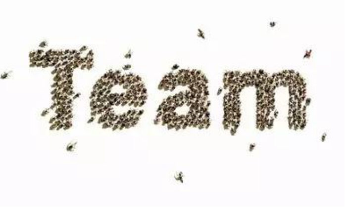 轉(zhuǎn)換視角，鹿看餐飲品牌的投資價值