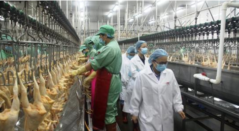 8000塊起家，如今靠養(yǎng)殖做到2000億，足可比肩華為卻鮮有人知|餐飲界