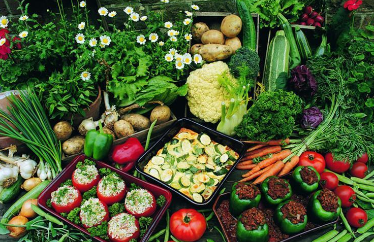 把生命浪費(fèi)在美好上，體驗不好怎么行？（上）