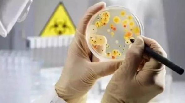 食物中毒一年“殺人”過百，天漸熱請注意餐廳“消毒”