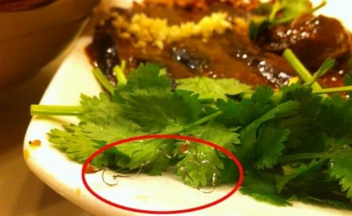 食客在餐廳吃到鋼絲，餐廳被判賠償食客206萬，并罰款686萬