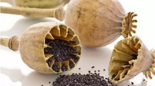 面湯怎么這么香 拉面館用罌粟殼作為食品調味料