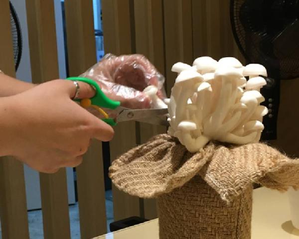 餐飲三巨頭的“爆品”玄機(jī)，其實(shí)就是4個(gè)字|餐飲界