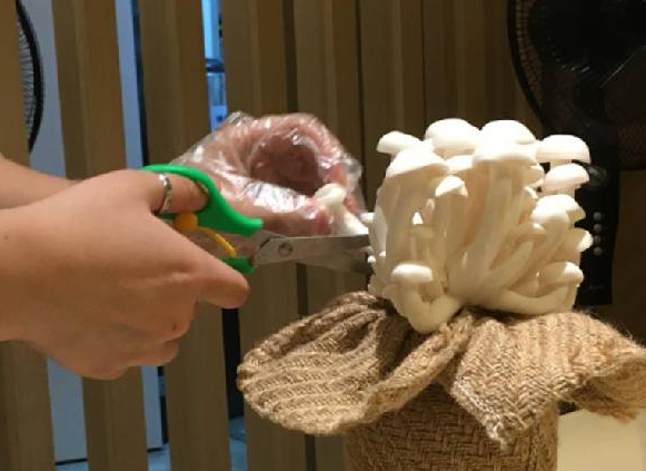 餐飲三巨頭的“爆品”玄機，其實就是4個字|餐飲界