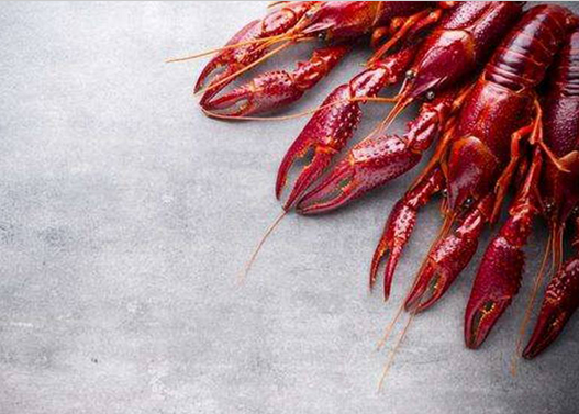 大學(xué)竟為她開設(shè)專業(yè)！餐飲界最紅單品2017要怎么爆發(fā)？