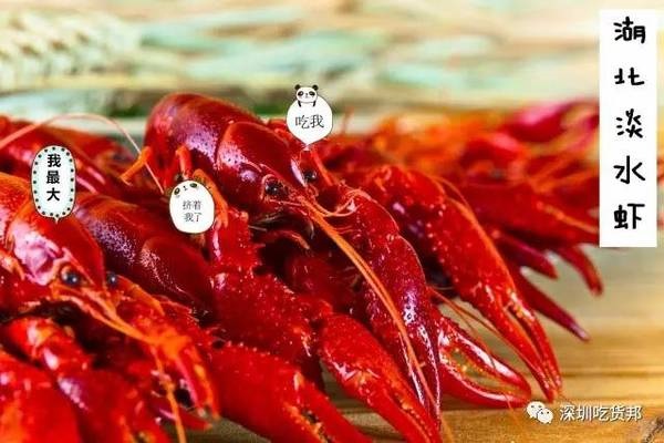 活捉一家高逼格音樂餐吧！小龍蝦+音樂+經(jīng)典湘菜|餐飲界