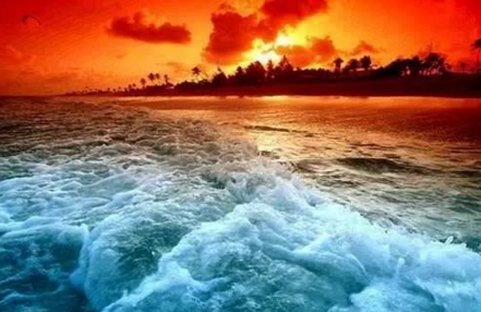 外賣創(chuàng)業(yè)江湖：早餐和午餐外賣為什么冰火兩重天？