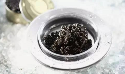 魚子醬到底有多少種？餐飲人快來辨別一下