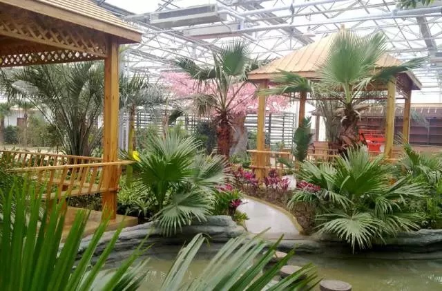 開三家死兩家，生態(tài)餐廳的風(fēng)口說是偽命題？