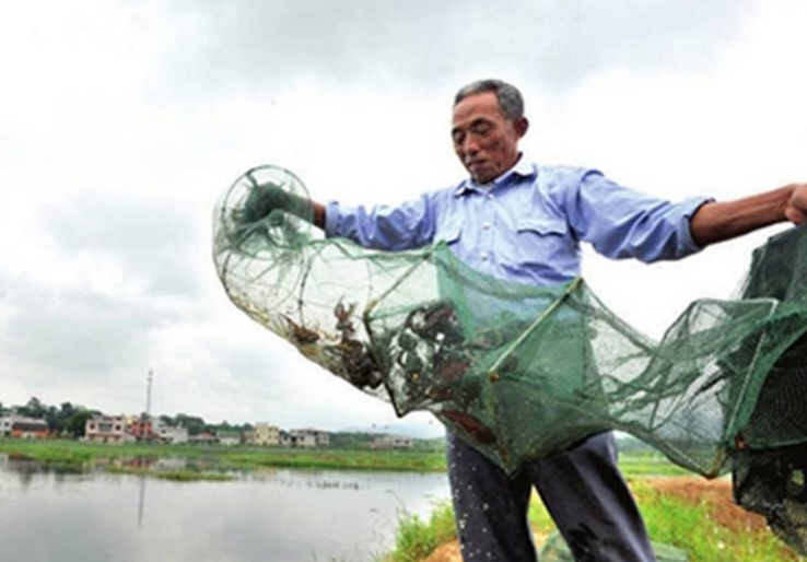 小龍蝦“斷供”是誰的“黑手”在操控？