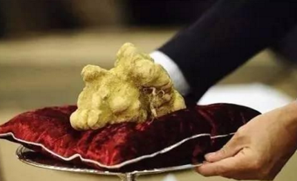 知識(shí)庫(kù)｜為了得到這種珍稀食材，澳門賭王豪擲33萬(wàn)美金！