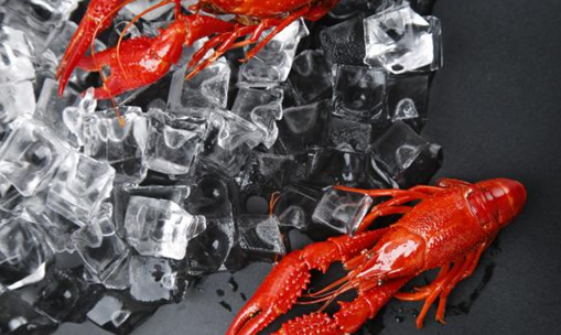 “小龍蝦專業(yè)”你眼饞嗎？