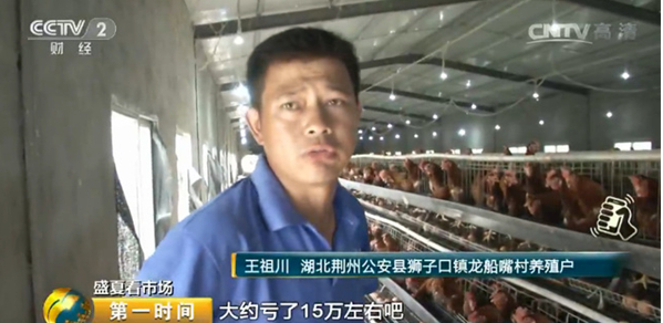 雞蛋價格跌跌不休！最低腰斬一半