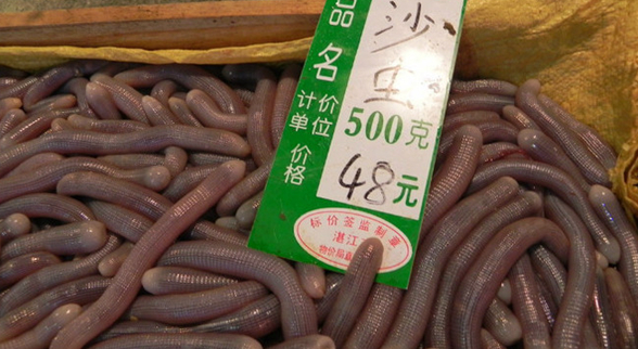 ?？谝徊蛷d沙蟲被食客質(zhì)疑不干凈 食藥監(jiān)：沒毛病