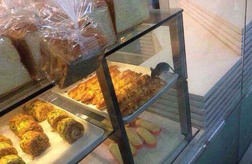 多個知名餐飲品牌安全問題被曝光：老鼠啃面包、中毒等