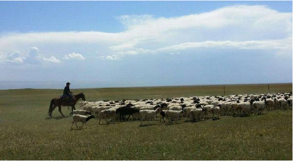 餐飲定位就是品類+客群？錯(cuò)！還要看消費(fèi)場(chǎng)景|餐飲界