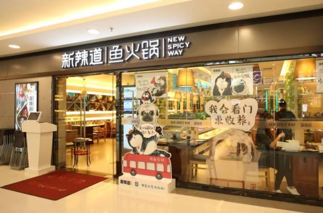 破局傳統(tǒng)營(yíng)銷思維，看新辣道如何跨界&借勢(shì)瘋狂圈粉？ | 案例