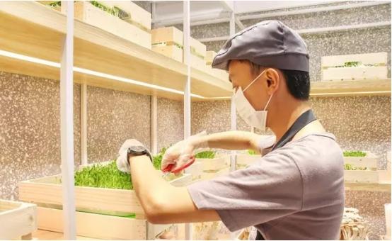 這家麻辣燙把農(nóng)場(chǎng)搬進(jìn)店里，獲千萬融資|餐飲界