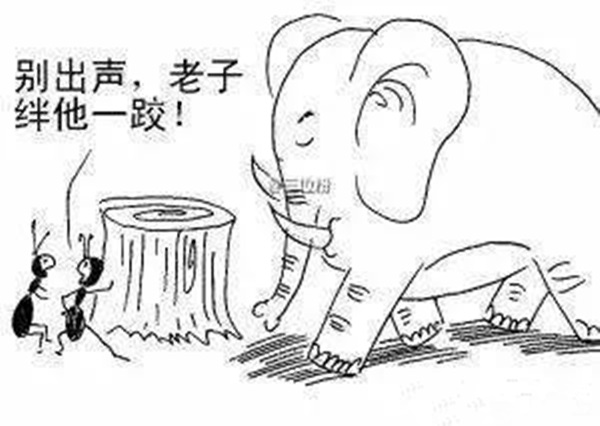 火鍋老板必看：與巴奴共舞的3個戰(zhàn)略機會！