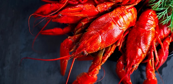 基于營養(yǎng)師資源優(yōu)勢，「瘦蜜」用寶寶餐食制作平臺為AI健康餐飲做數(shù)據(jù)鋪墊