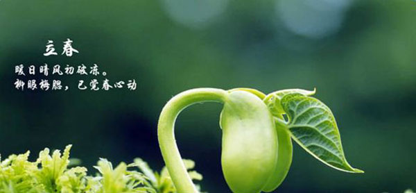 用好這幾點，讓你的火鍋加盟店在春天有個紅紅火火的開始