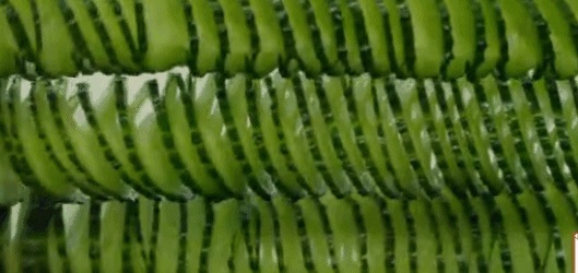 《舌尖3》亮出底牌，餐飲人笑了！