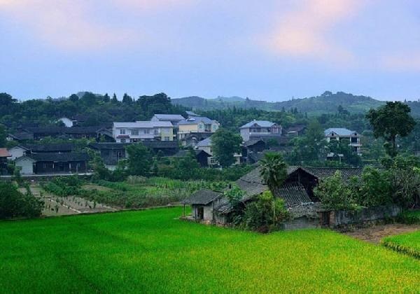 城市水太深，回鄉(xiāng)開餐廳？看完這篇你再做決定……