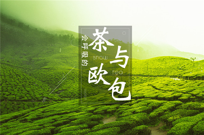 9個月開600家店，漫雪的茶憑啥攻占全國市場？|餐飲界