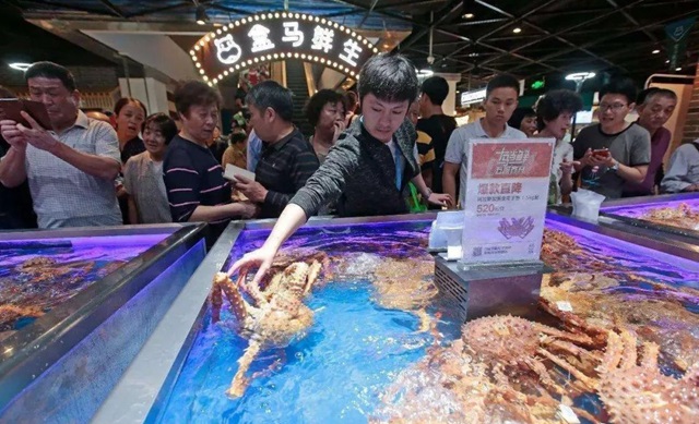 深度報告：盒馬對餐飲有什么企圖？