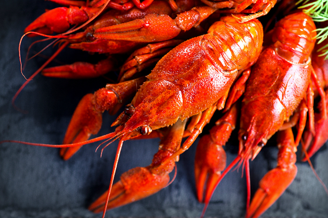 小龍蝦供應(yīng)鏈競(jìng)爭(zhēng)白熱化！餐企混戰(zhàn)何時(shí)休