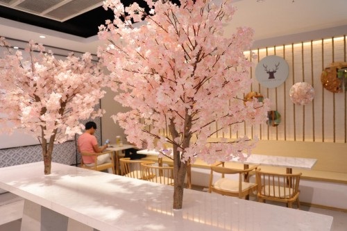 讓年輕人“上癮”的鹿角戲 做對了些什么？