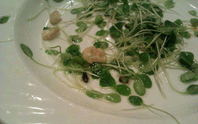 這個店長真瘋狂：在客人要求下，從垃圾桶撿出蒼蠅一口吞下