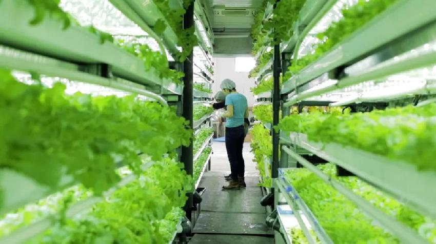 新鮮，餐飲營銷的全新戰(zhàn)場|餐飲界