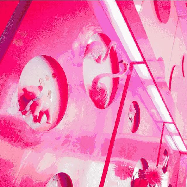 喜茶、奈雪の茶、鮑師傅等網(wǎng)紅店迅速竄紅的15個套路