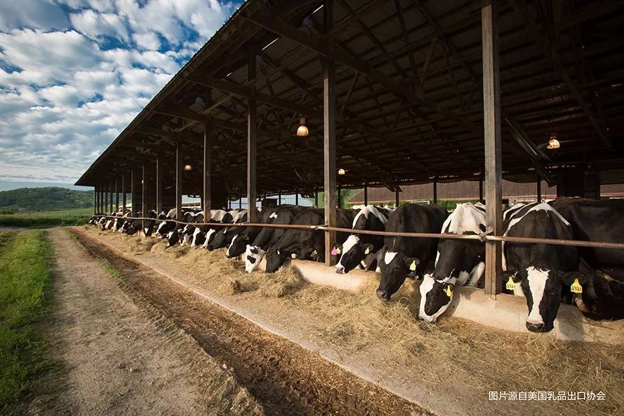 美國(guó)乳制品走向中國(guó)餐桌，將為中國(guó)市場(chǎng)帶來(lái)哪些影響？|餐見