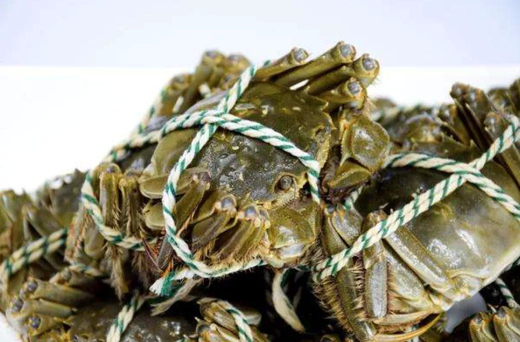 讓每一只大閘蟹鮮活抵達，順豐同城急送全力打造生鮮配送“新鏈條”