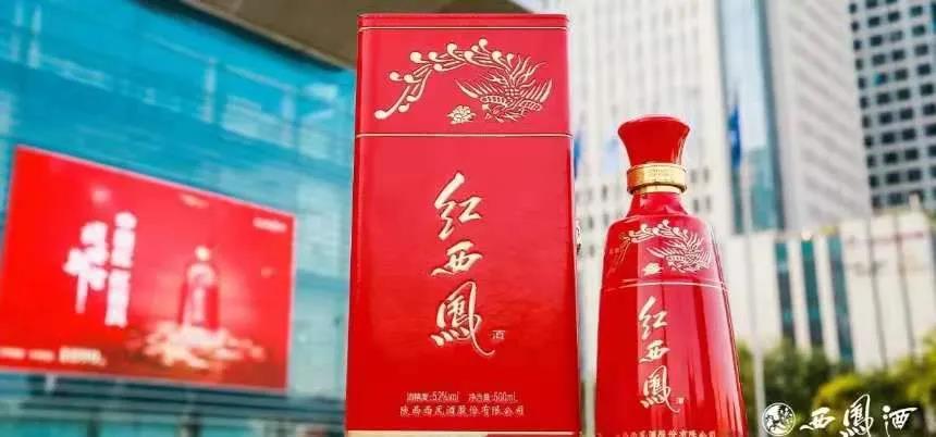 重磅！自今天起紅西鳳正式開啟“配額制”