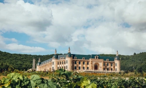 青谷酒莊，來自北緯45度的禮物