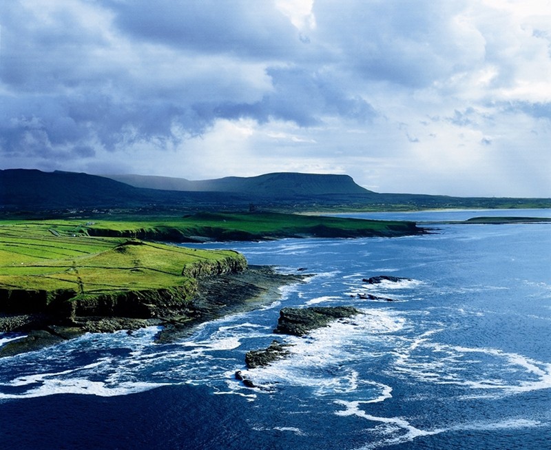 愛爾蘭海產(chǎn)貿(mào)易商交流會成功舉辦，優(yōu)質(zhì)海產(chǎn)“漁”你相會青島