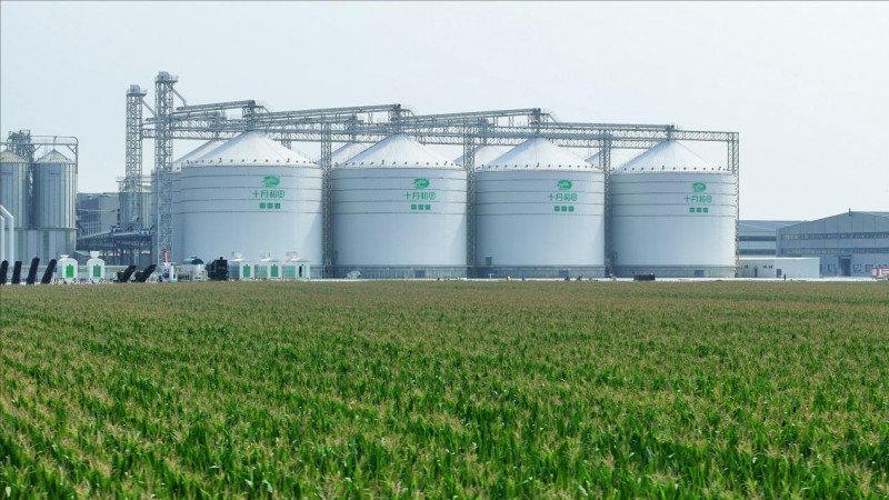 十月稻田玉米全國銷量領(lǐng)先！引爆主食消費新熱潮