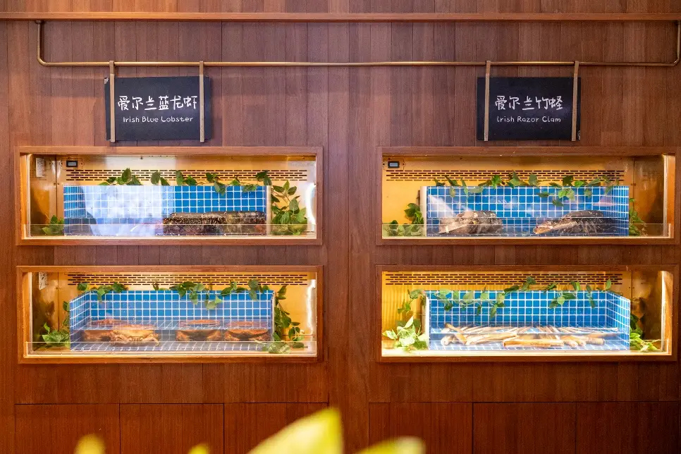 愛爾蘭農(nóng)業(yè)、食品及海事部部長(zhǎng)帶團(tuán)訪華并走訪上海的“愛爾蘭海鮮集市”