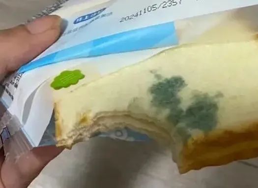 熱搜大反轉(zhuǎn)！發(fā)霉面包是擺拍的，“孕婦”公開致歉承認敲詐