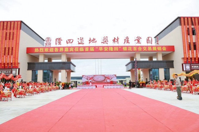 隆回中藥材產業(yè)盛會圓滿收官 鄉(xiāng)村振興開啟超燃新篇