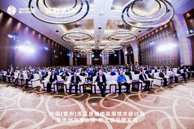 黔大俠品牌正式發(fā)布，貴州高原山豬走向全國(guó)餐桌